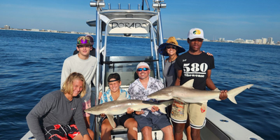 Private 4 Hour Shark Fishing Trip In New Smyrna Beach