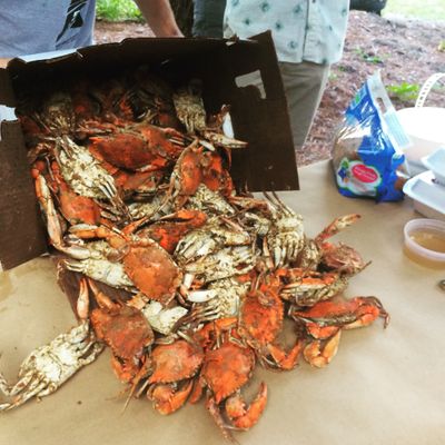 Crabbing and Fishing Adventure