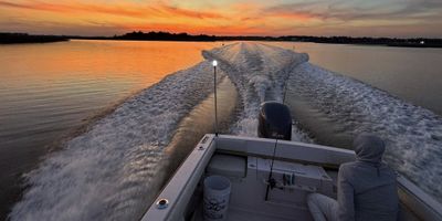 Inshore & Nearshore Fishing Trip (Morning & Afternoon)