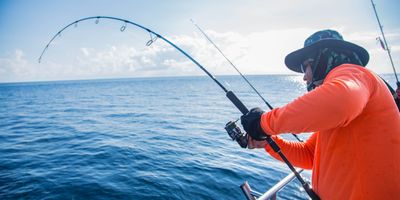 Charter Fishing Cape Coral | Goliath Grouper Fishing