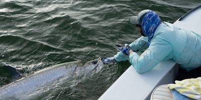 Murrells Inlet Charter Fishing | Tarpon Fishing