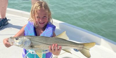 Clearwater Florida Fishing Charters	