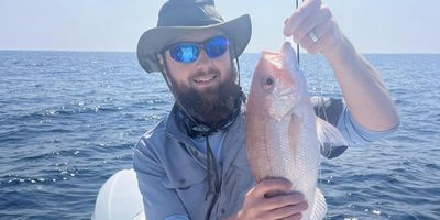 Offshore Fishing in Mt Pleasant | 10 to 12 Hour Charter Trip 