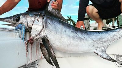 Fort Lauderdale Fishing Charters