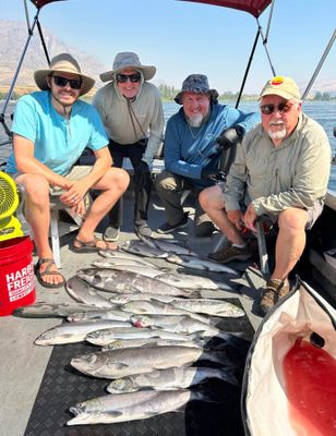 SUMMER SOCKEYE