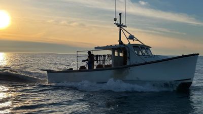 Fishing Charters Massachusetts | 5 To 8 Hour Charter Trip