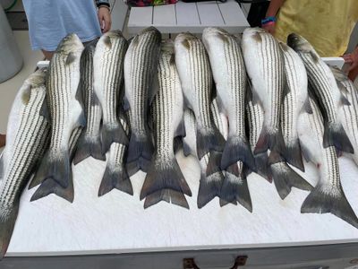 Chesapeake Bay Charter Fishing | AM or PM 5 Hour Half Day Trip