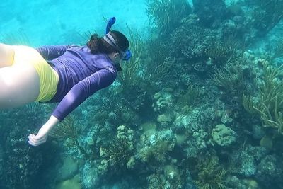 Snorkeling in Florida Keys