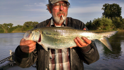 Private Guided Fishing Trip on Clear Lake & NorCal Rivers