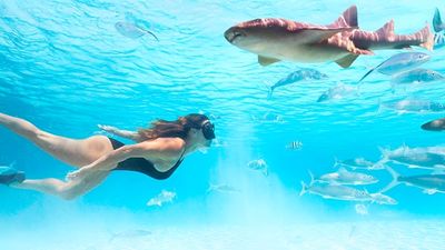 Private Morning Fishing and Snorkel Combo - Nassau, Bahamas