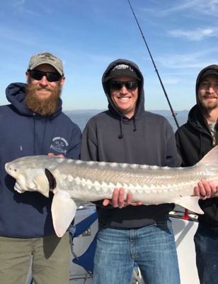 Private Trip - Sturgeon Striped Bass