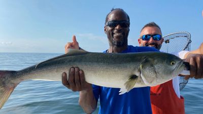 Fishing Charters CT | 5 Hour Fishing Trip