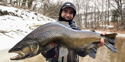 Ice fishing Trips in Lake Michigan