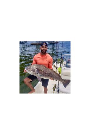 Tampa Fishing Charters