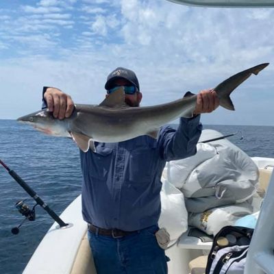 Half Day Nearshore Fishing Trip in Murrells Inlet