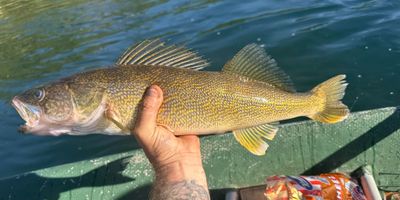 8 HR Columbia River Fishing Adventure