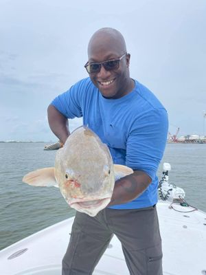 Shark Fishing - Port Arthur, TX