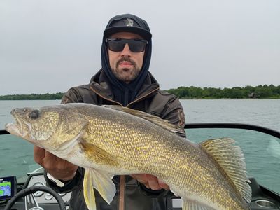 Private Full Day Leech Lake Fishing Trip - Walker, MN