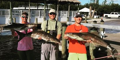 Charter Fishing Fort Myers