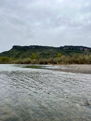 Private Half-Day Scenic Trip