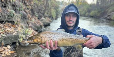Private 8 Hour Fishing Trip In Oak Orchard