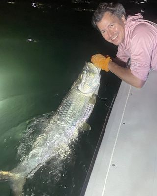 Tarpon Fishing Trips In Florida 