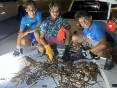 Bully Netting Lobster Fishing In Florida