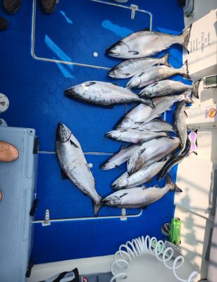 Lake Michigan Fishing Charters | Private 5 Hour Charter Trip