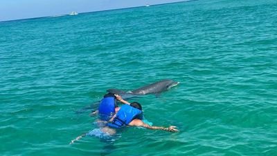 Panama City Beach Dolphin Tours | 4 Hour "Have It Your Way" Trip