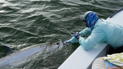 Tarpon Fishing Panama City Beach | 4 Hour AM And PM Trips