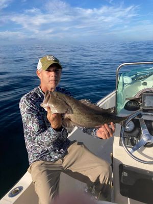 Offshore Fishing Trips in Carrabelle FL |  8 Hour Trip