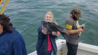 Fishing Charters in Cape Cod | 8HRS Weekday Fishing 