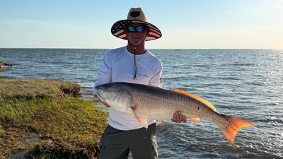 2-Hour Chincoteague Sunset, Ponies & Fishing