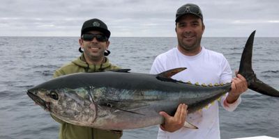 San Diego Charter Fishing | Seasonal Offshore Charter Trip