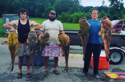 Private 4 To 8 Hour Catfish & Flathead Day Trips 