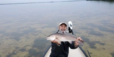 Fort Myers FL, Fishing Charter