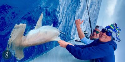 Shark Fishing — Marathon, FL