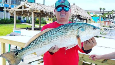 Orange Beach Inshore Fishing Charter : Fall/Winter Special