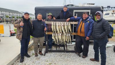 Lake Erie Walleye Fishing