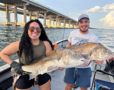 Tampa Bay Fishing - 4 Hour Trip (Seasonal)