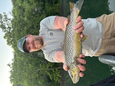 2 Hour Trout  Fishing Trip on Lake Taneycomo in Branson, MO