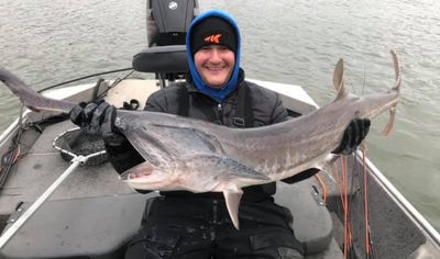 Morning Paddlefish/Spoonbill Trip