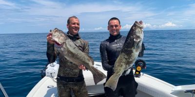 Fishing Charters Wilmington NC | 8 or 10 Hour Charter Trip