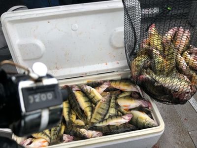 Multi-Species Fishing Adventure from NY