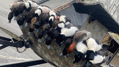 Ohio Duck Hunting | 8 Hour Hunting Trip