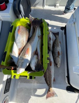 5 Person Fishing Trip Galveston Bay AM or PM