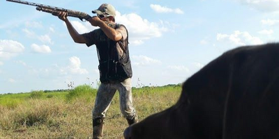 8 Hour Dove Hunting Trip In Texas 