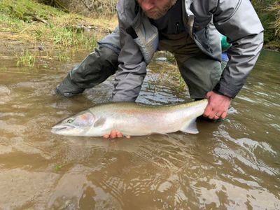 Kenai River Fishing | Trout Fishing 6 hour Trip