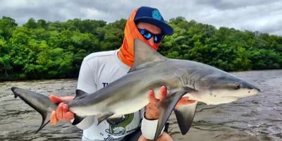 Full Day South Florida Inshore Fishing