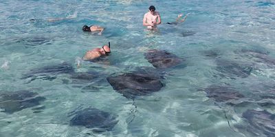 Cayman Snorkeling and Stingray City – Full Day
